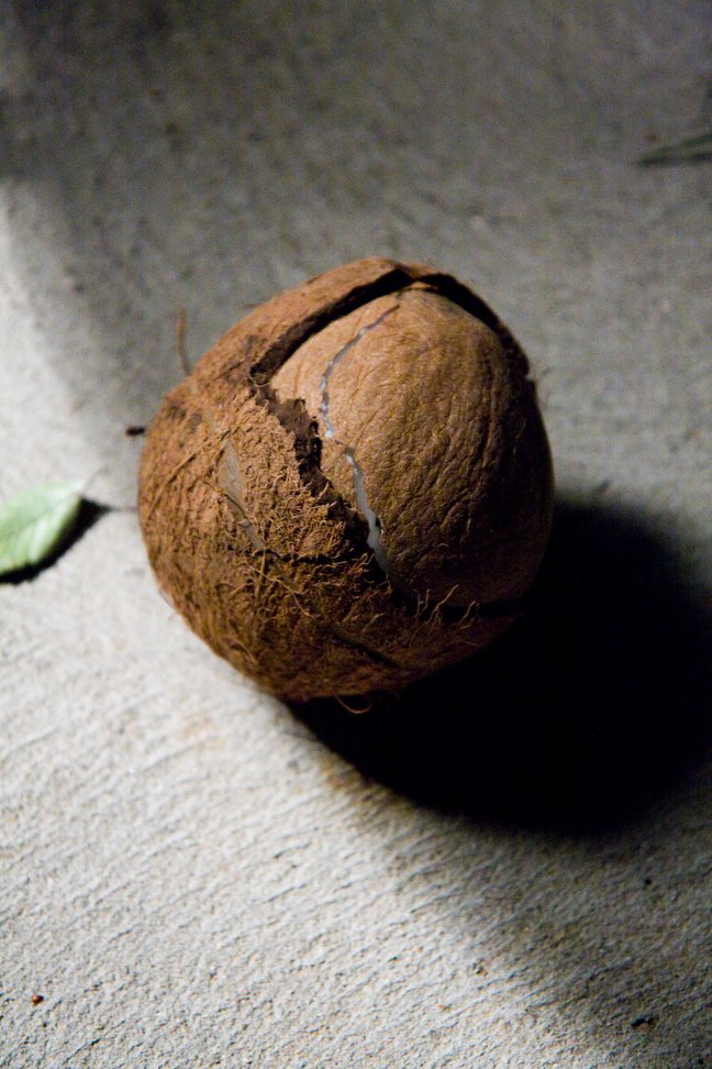 A cracked open coconut on concrete