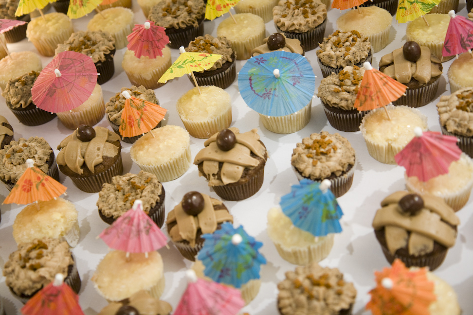 [lots+of+cupcakes.jpg]
