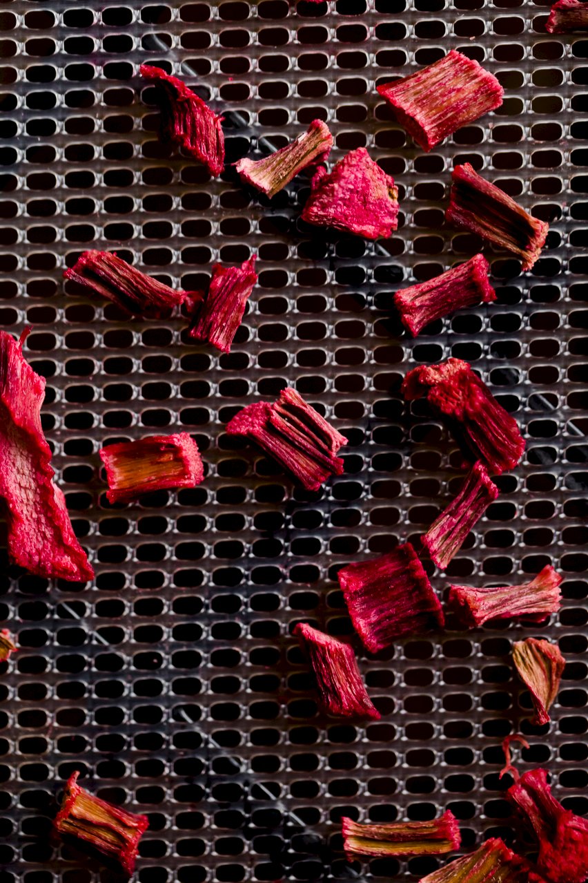 Dried Rhubarb